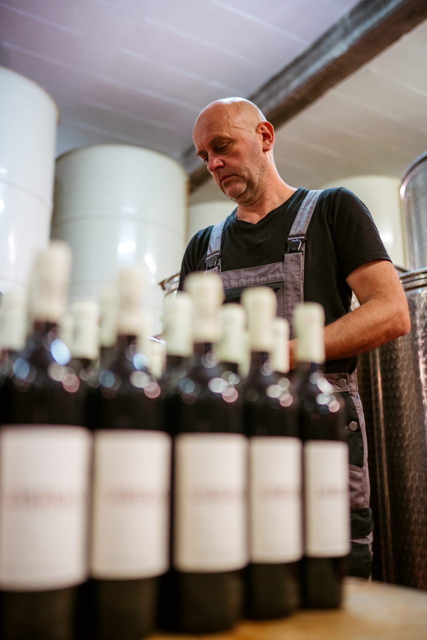 Vinar okružen bačvama vina ručno puni boce vina tradicionalne pelješke sorte Plavac mali u podrumu Vinarije Škurla